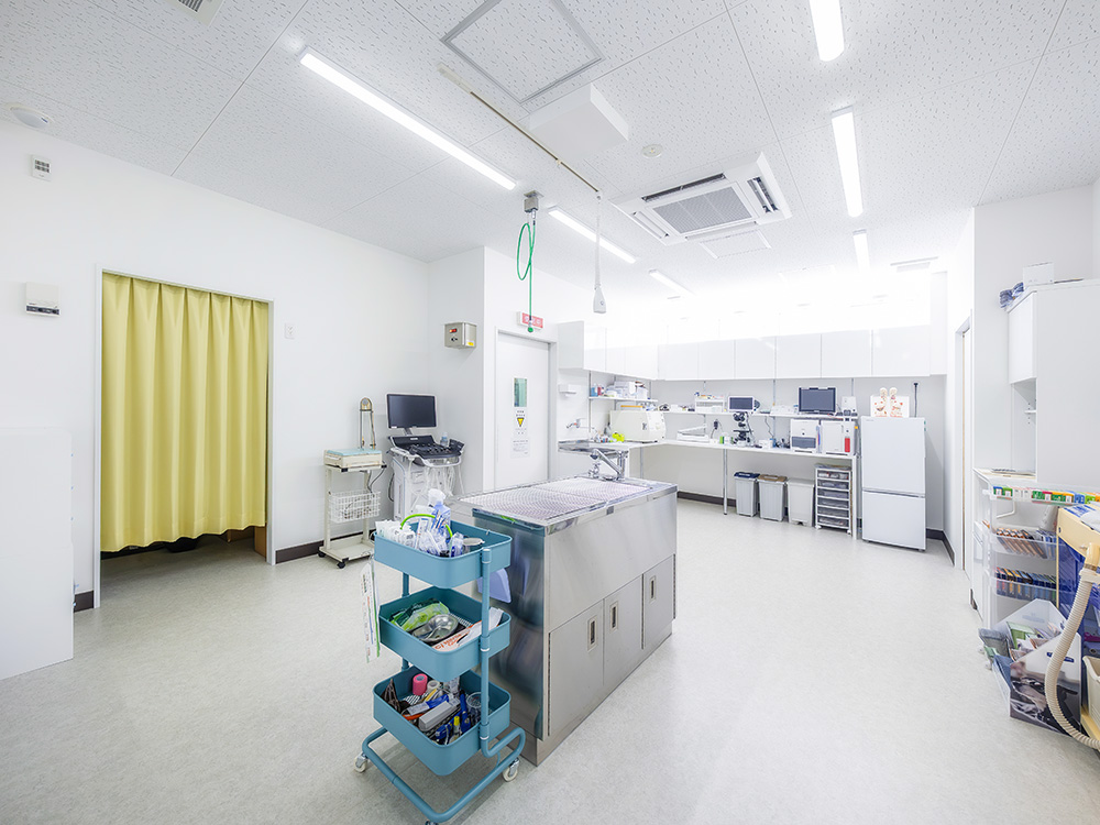 検査処置室