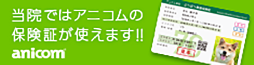 アニコム損保ペット保険