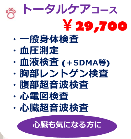 トータルケアコース