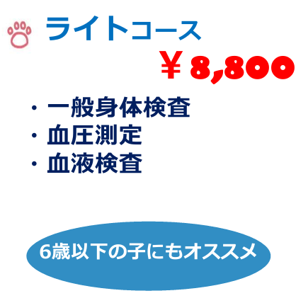 ライトコース