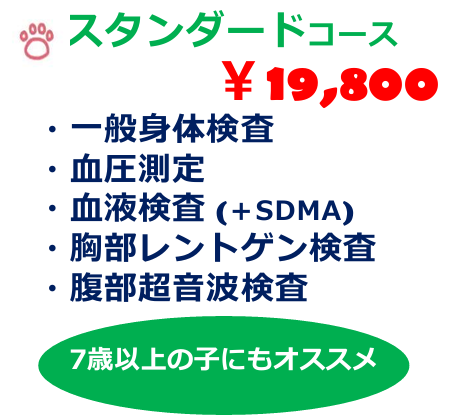 スタンダードコース