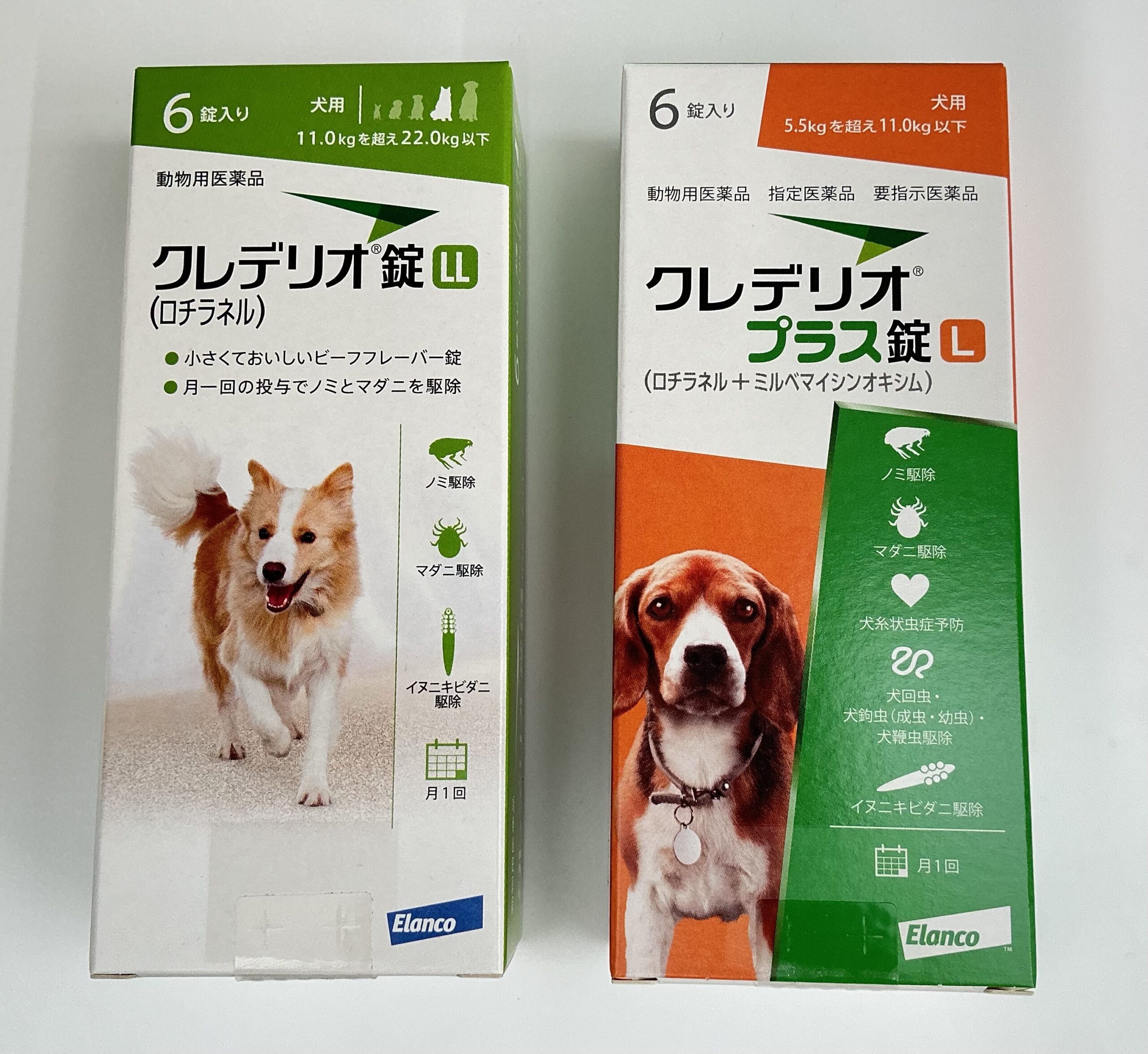 自宅で飲ませる方法