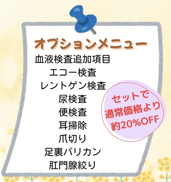 オプション