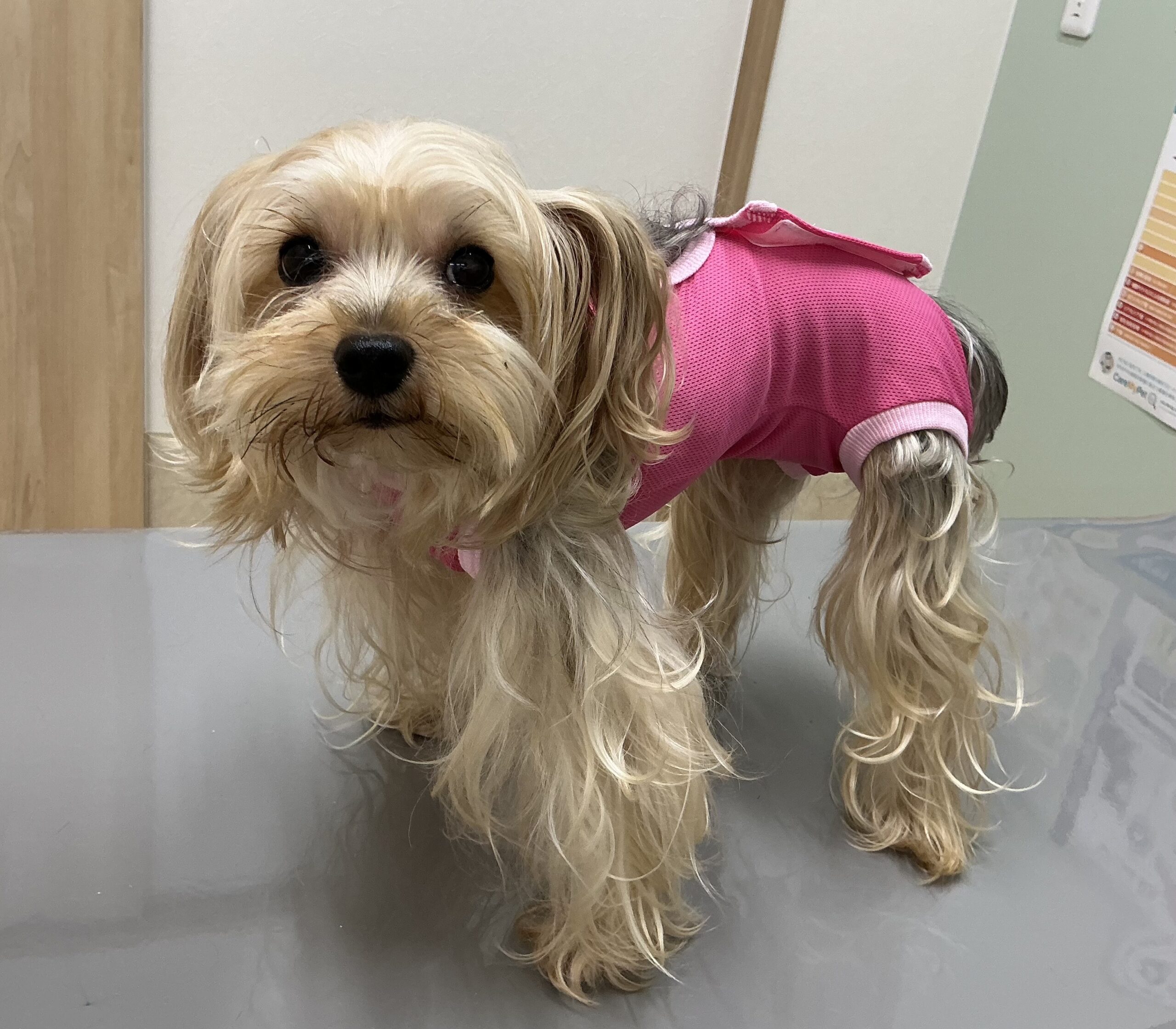 手術後の過ごし方