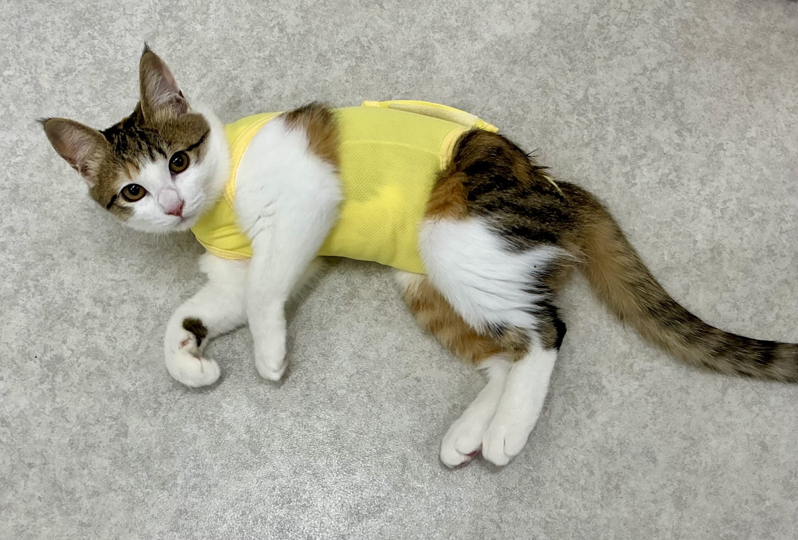 手術後の過ごし方